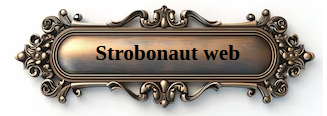 This image is a button linking to the Strobonaut-web file in github.